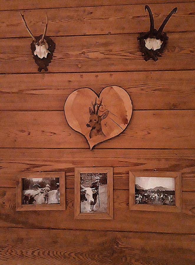 Hotel Berggasthof Karntner Alm Mittenwald Exteriér fotografie